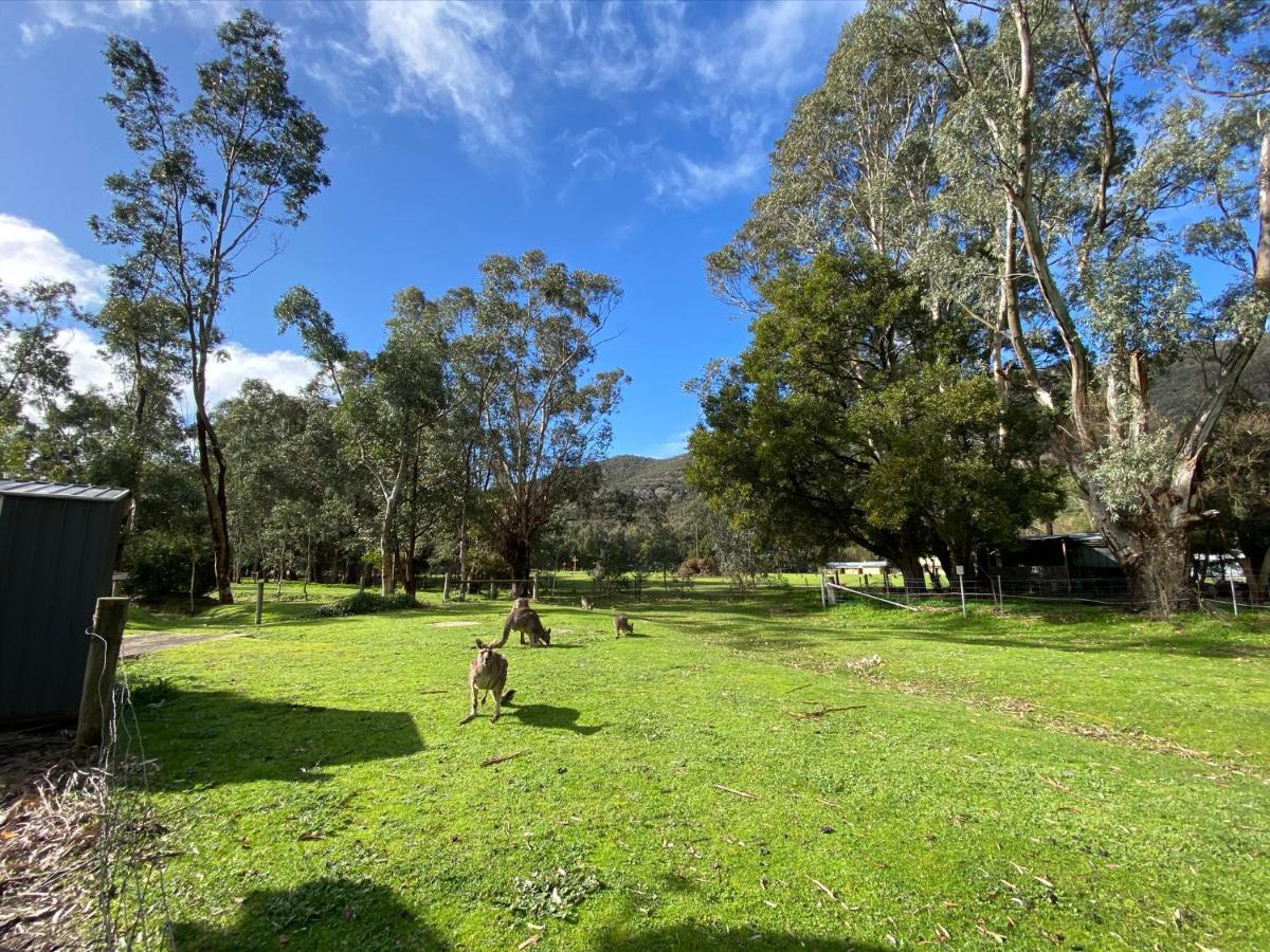 Villa Kangurra House à Halls Gap Extérieur photo